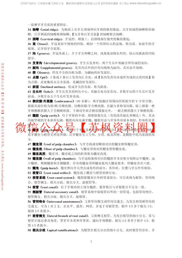 口腔解剖生理学